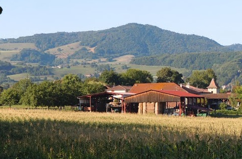 Dans les champs de Termerieu (Voiron 2013)